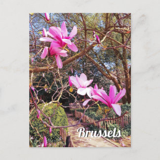 Brussels Belgium travel photo Postcard