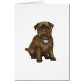 Brussels Griffon #2 (brown) (Front)