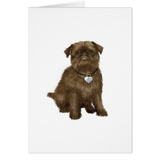 Brussels Griffon #2 (brown) Cards (Front)