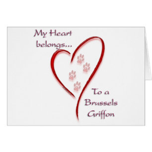 Brussels Griffon Belongs Cards