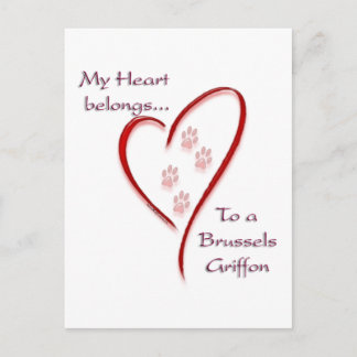 Brussels Griffon Belongs Postcard