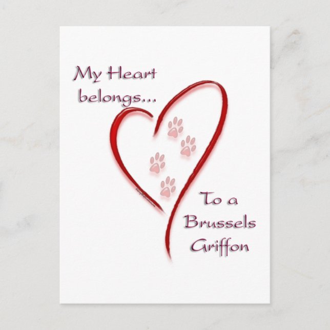 Brussels Griffon Belongs Postcard (Front)
