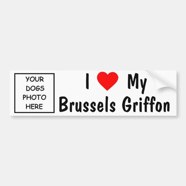 Brussels Griffon Bumper Sticker (Front)