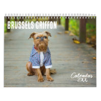 Brussels Griffon calendar 2026
