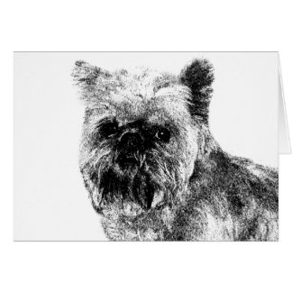 Brussels Griffon Cards