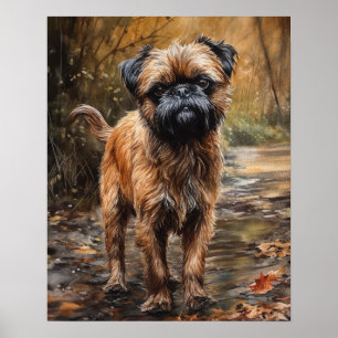 Brussels Griffon Dog Art Print Poster