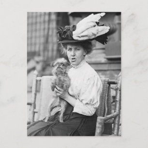 Brussels Griffon, early 1900s Postcard