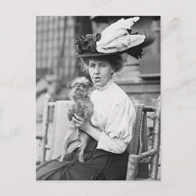 Brussels Griffon, early 1900s Postcard (Front)