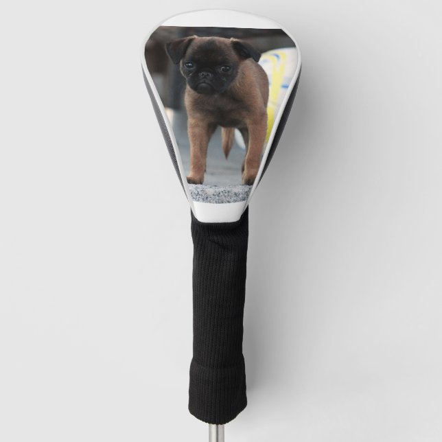 brussels griffon front view golf head cover (Front)
