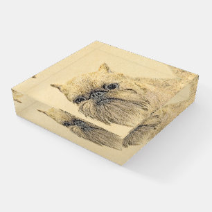 Brussels Griffon Painting - Cute Original Dog Art Paperweight