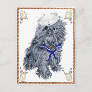 Brussels Griffon Sailor Postcard