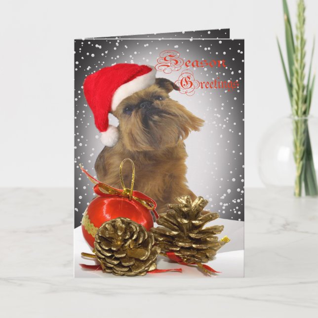 Brussels Griffon Season Greetings Cards (Front)