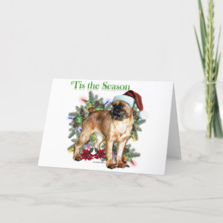 Brussels Griffon ‘Tis Holiday Card