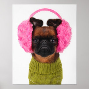 Brussels Griffon With Pink Earmuffs Poster