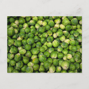 Brussels sprouts postcard