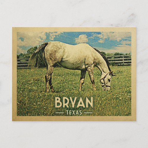 Bryan Texas Horse Farm _Vintage Travel Postcard