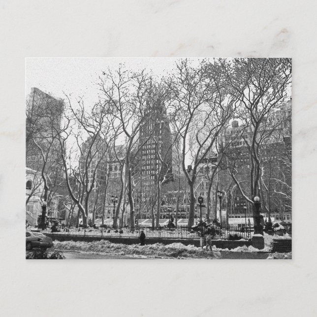 Bryant Park Postcard (Front)