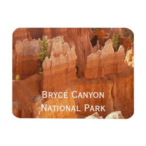 Bryce Canyon Hoodoos Magnet