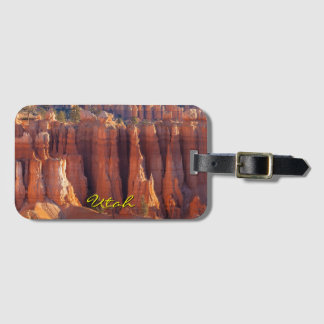 Bryce Canyon Hoodoos View Luggage Tag
