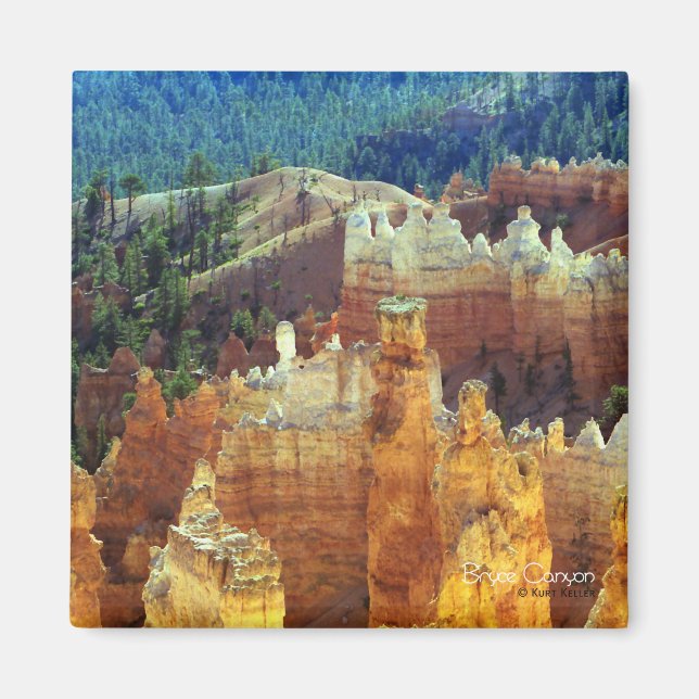 Bryce Canyon Magnet (Front)