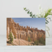 Bryce Canyon National Park (Standing Front)