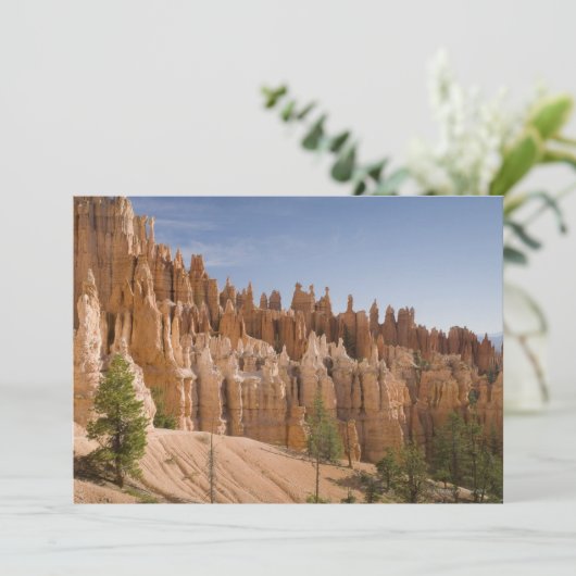 Bryce Canyon National Park (Standing Front)