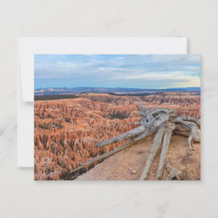 Bryce Canyon National Park at Sunrise Postcard