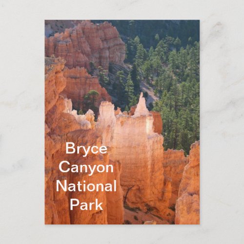 Bryce Canyon National Park Delicate Hoodoos Postcard