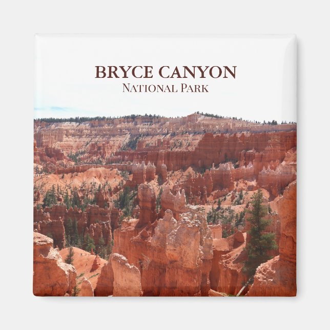 Bryce Canyon National Park Magnet (Front)