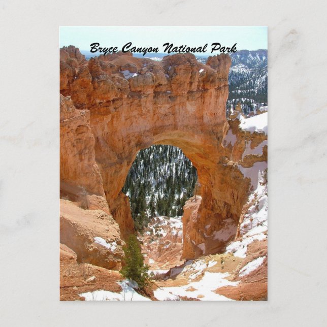 Bryce Canyon National Park Postcard (Front)