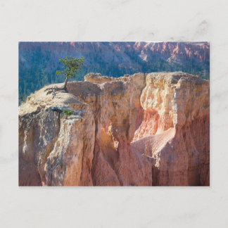 Bryce Canyon National Park Postcard