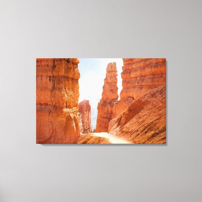 Bryce Canyon National Park Trail Canvas Print (Front)