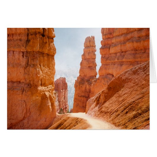 Bryce Canyon National Park Trail Cards (Front Horizontal)