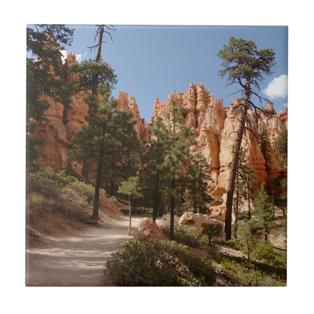 Bryce Canyon National Park Trail Ceramic Tile (Front)