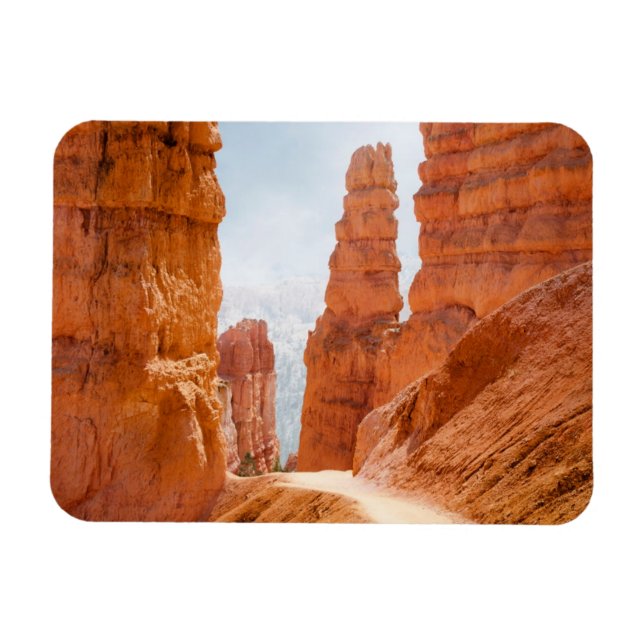Bryce Canyon National Park Trail Magnet (Horizontal)
