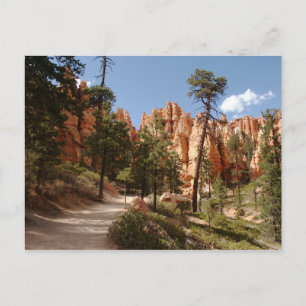 Bryce Canyon National Park Trail Postcard