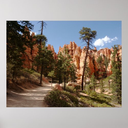 Bryce Canyon National Park Trail Poster