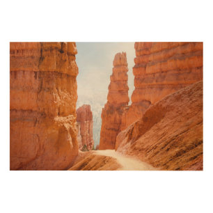 Bryce Canyon National Park Trail Wood Wall Decor