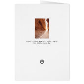 Bryce Canyon National Park, Utah Cards (Back)