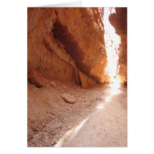 Bryce Canyon National Park, Utah Cards (Front)