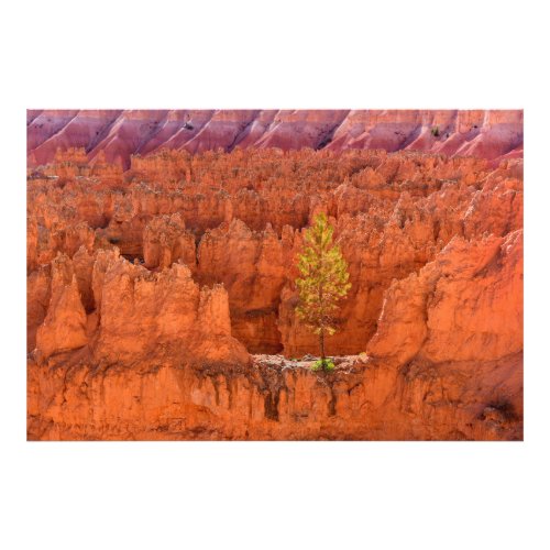 Bryce Canyon National Park Utah USA Photo Print