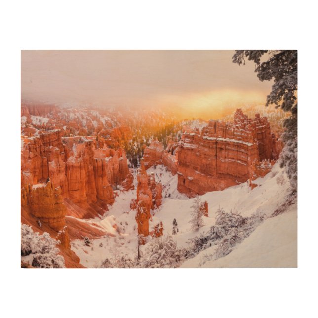 Bryce Canyon National Park Wood Wall Art (Front)