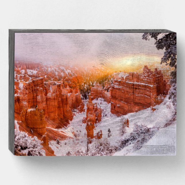 Bryce Canyon National Park Wooden Box Sign (Front Horizontal)