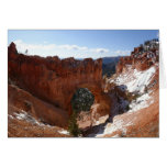 Bryce Canyon Natural Bridge Snowy Landscape Photo