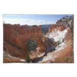 Bryce Canyon Natural Bridge Snowy Landscape Photo Cloth Placemat