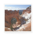 Bryce Canyon Natural Bridge Snowy Landscape Photo Napkins