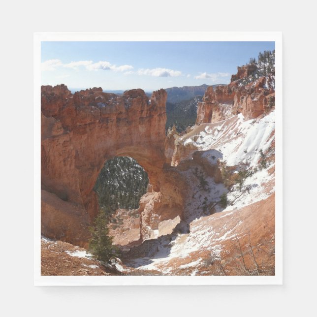 Bryce Canyon Natural Bridge Snowy Landscape Photo Napkins (Front)