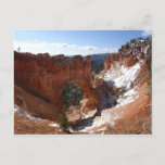 Bryce Canyon Natural Bridge Snowy Landscape Photo Postcard