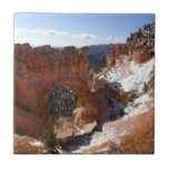 Bryce Canyon Natural Bridge Snowy Landscape Photo Tile