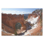 Bryce Canyon Natural Bridge Snowy Landscape Photo Tissue Paper